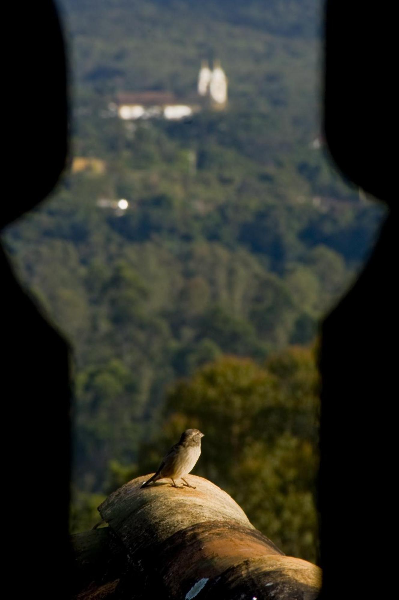 Pouso Da Torre Hotel Tiradentes Bagian luar foto